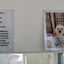 멍토피아 이미지