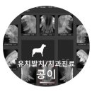 365 신원당 동물병원 이미지