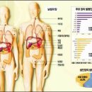 조기박사 이미지