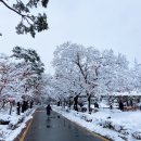 정독도서관 이미지