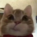 하루에 카페 네이버블로그