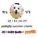 햇님상점
