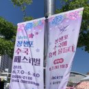 울산 장생포고래박물관 | 2025 울산 장생포 고래박물관 수국 페스티벌 후기