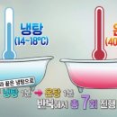 그린사우나 이미지