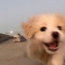 소고놀이 네이버블로그