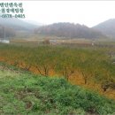 신관리 이미지