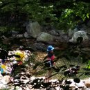 지리산거림계곡 이미지