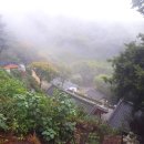 동혈사 삼층석탑 티스토리