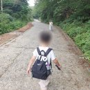 노고단-8 | 지리산 성삼재휴게소 노고단대피소 노고단 정상 8세 아이와 등산후기