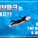 (주)웨이브파크 네이버블로그
