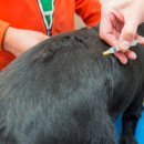 신효동-31 이미지