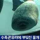 미남미남 이미지