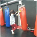 격투피트니스 송파 이미지