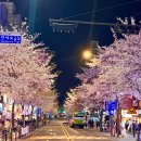 담산 신촌본점 | 담산 신촌본점 후기