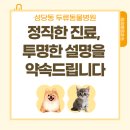 두류동물병원 네이버블로그