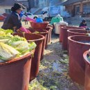 스테이, 흥업 이미지