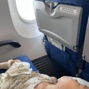 공항남부점 현대자동차 | [오키나와 가족여행 프롤로그] 19개월 아기 두 명과 두 가족의 3박 4일 현실 육아 여행 (항공권·리조트...