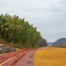 남가람 문화거리 이미지