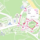 2026년 대구 치맥페스티벌 후기 / 음식 종류 가격 / 치킨 맥주 술안주 간식