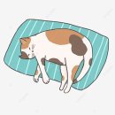 충무드림약국 이미지