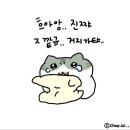 가천왕족발 | 8월 넷째주 기록