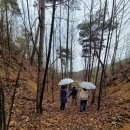 아이라움 이미지