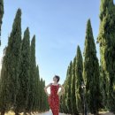 명심민박 | W 18 : 신혼여행 : 이탈리아 숙소 모음.zip (숙소내돈내산 후기)