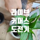 유미숙농장 | [공지] 파주시농업기술센터 청년농업인중심 라이브커머스 교육 후기