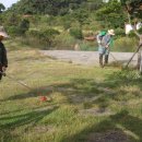 대왕수천 이미지