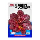 씨앗