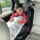 삼육사로37 | 대형평상 있는 수영장 | 애견동반가능 수영장 | 죠스 캠핑장 | 글램핑 수영장 | 두가족이 함께 다녀온 후기