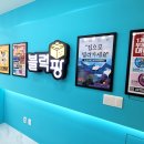 블럭팡 시선뉴스