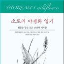 소로 이미지
