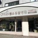 원스동물병원 이미지