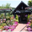 타샤의정원 이미지