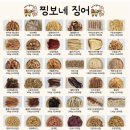 찡보네징어 이미지