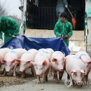 김경태농장 이미지