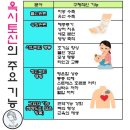 그루밍포유 이미지