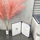 부동산중개 세움 | 친구처럼 질문 정리해준 강남 상담