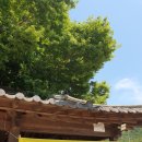 토가식당 이미지