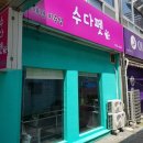 멍이펫 네이버블로그