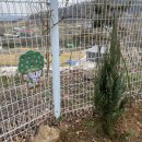 룸비니전원유치원 이미지