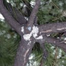 반도병원 이미지