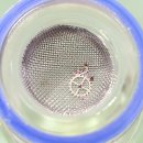 비산크리닝전문점 이미지