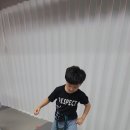 연세월드태권도 이미지