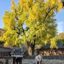 귀족 | 전주 한옥마을 한복 사진으로 특별한 여행, 귀족의상실 후기