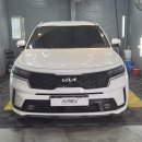 선진크리닝 | 청주 SUV 세차 후기 | 기아 쏘렌토 실내외 디테일링 완벽 작업 (에이펙스)