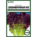 신토담이 쇼핑하우