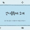 축제코스 | 양평 용문산 산나물축제 먹거리 등산코스 맛집 후기