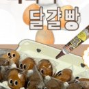 삼미시장6 이미지